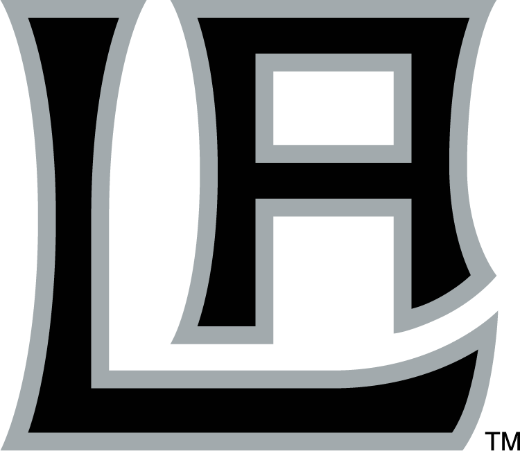 Los Angeles Kings 2014 Special Event Logo v2 DIY iron on transfer (heat transfer)